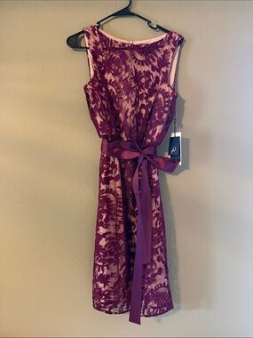 Adrianna Papell Burgundy Lace Dress with Pink Lining